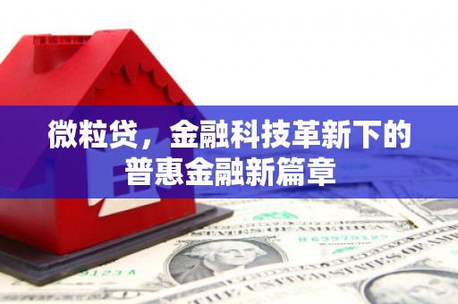 合阳微粒贷，金融科技革新下的普惠金融新篇章