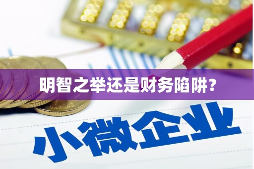 合阳明智之举还是财务陷阱？