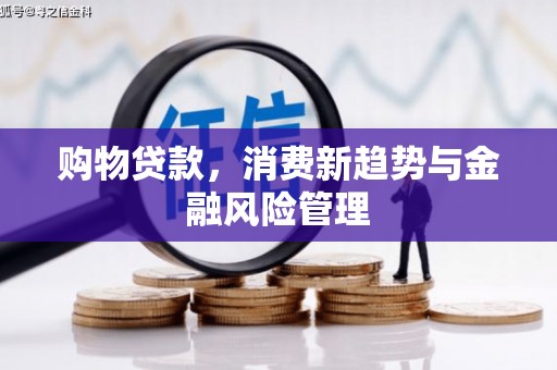 合阳购物贷款，消费新趋势与金融风险管理