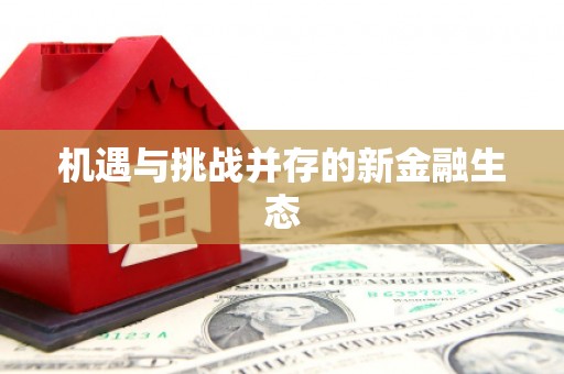 合阳机遇与挑战并存的新金融生态