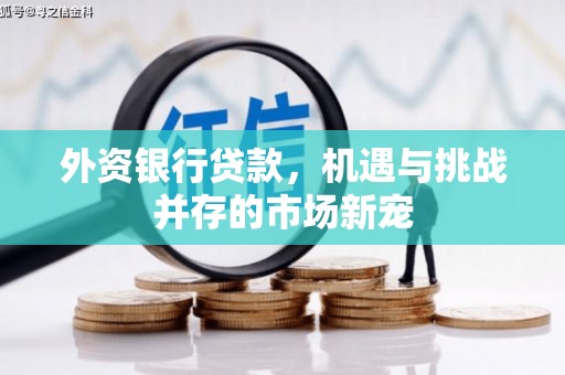 合阳外资银行贷款，机遇与挑战并存的市场新宠