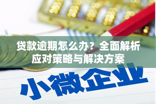合阳贷款逾期怎么办？全面解析应对策略与解决方案