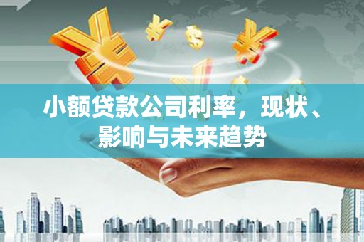 合阳小额贷款公司利率，现状、影响与未来趋势