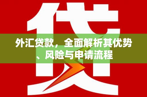 合阳外汇贷款，全面解析其优势、风险与申请流程
