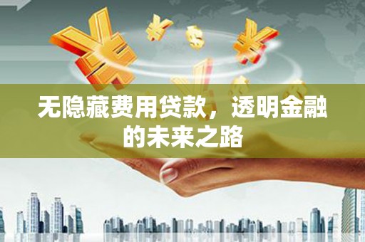 合阳无隐藏费用贷款，透明金融的未来之路