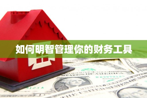 合阳如何明智管理你的财务工具
