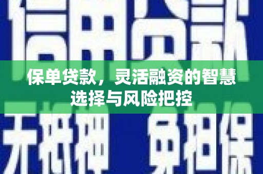 合阳保单贷款，灵活融资的智慧选择与风险把控