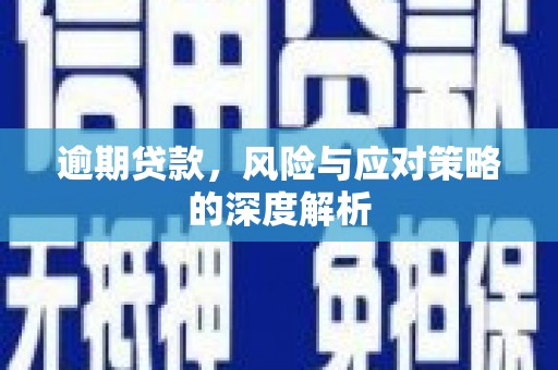 合阳逾期贷款，风险与应对策略的深度解析