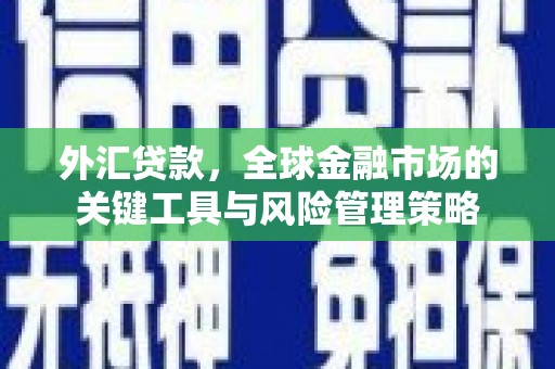 合阳外汇贷款，全球金融市场的关键工具与风险管理策略
