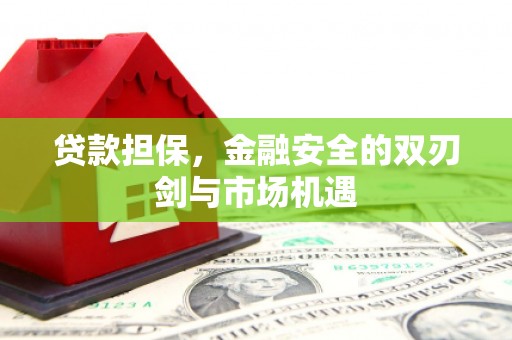 合阳贷款担保，金融安全的双刃剑与市场机遇