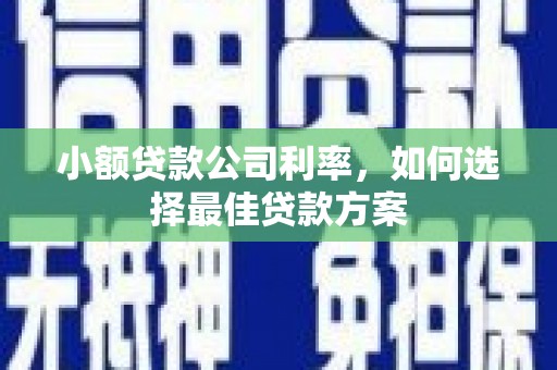 合阳小额贷款公司利率，如何选择最佳贷款方案