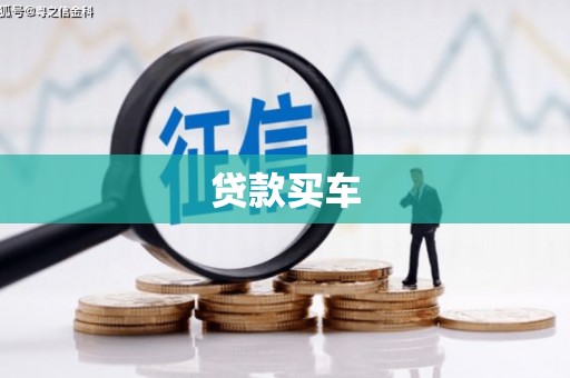 合阳贷款买车
