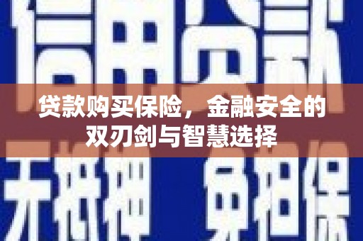 合阳贷款购买保险，金融安全的双刃剑与智慧选择