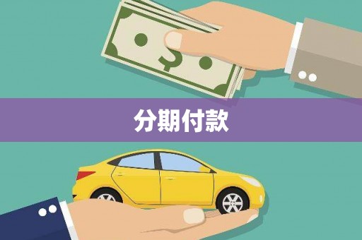 合阳分期付款