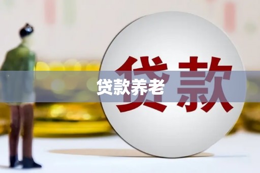 合阳贷款养老