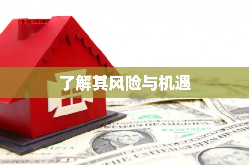 合阳了解其风险与机遇