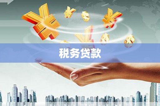 合阳税务贷款