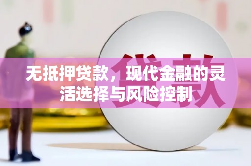 合阳无抵押贷款，现代金融的灵活选择与风险控制