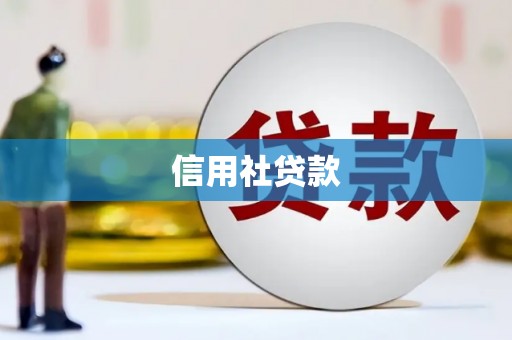 合阳信用社贷款