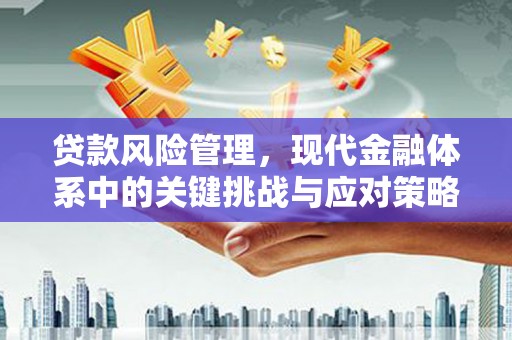 合阳贷款风险管理，现代金融体系中的关键挑战与应对策略