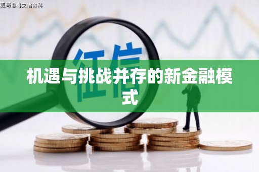 合阳机遇与挑战并存的新金融模式
