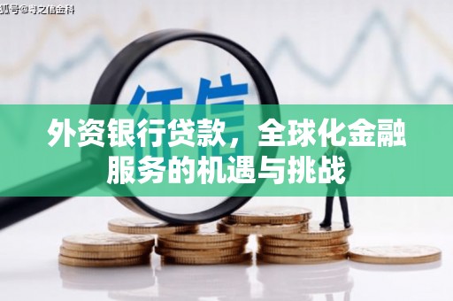 合阳外资银行贷款，全球化金融服务的机遇与挑战
