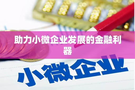 合阳助力小微企业发展的金融利器