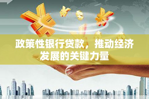 合阳政策性银行贷款，推动经济发展的关键力量