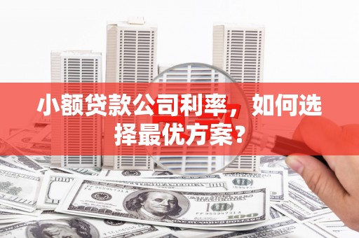 合阳小额贷款公司利率，如何选择最优方案？