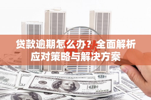 合阳贷款逾期怎么办？全面解析应对策略与解决方案