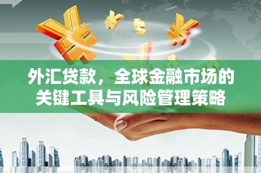 合阳外汇贷款，全球金融市场的关键工具与风险管理策略