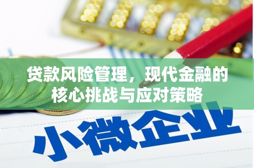 合阳贷款风险管理，现代金融的核心挑战与应对策略