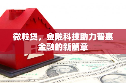 合阳微粒贷，金融科技助力普惠金融的新篇章