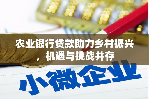 合阳农业银行贷款助力乡村振兴，机遇与挑战并存