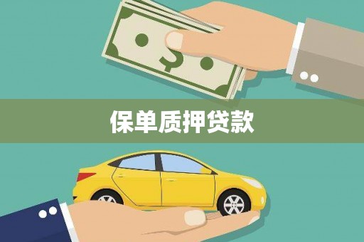 合阳保单质押贷款
