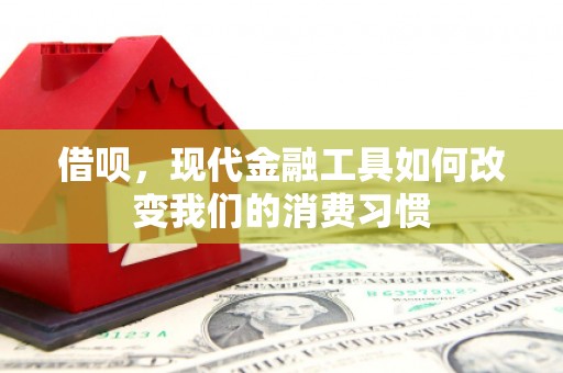 合阳借呗，现代金融工具如何改变我们的消费习惯