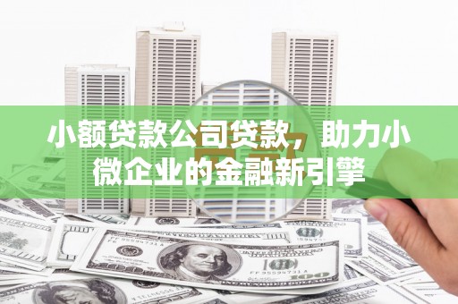 合阳小额贷款公司贷款，助力小微企业的金融新引擎