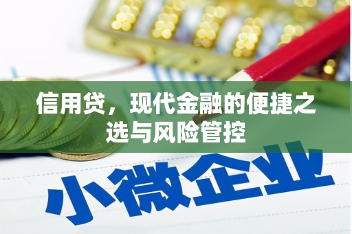 合阳信用贷，现代金融的便捷之选与风险管控