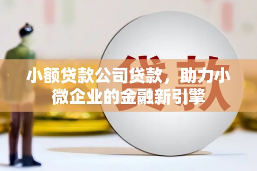 合阳小额贷款公司贷款，助力小微企业的金融新引擎