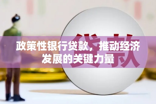 合阳政策性银行贷款，推动经济发展的关键力量