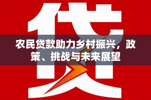 合阳农民贷款助力乡村振兴，政策、挑战与未来展望