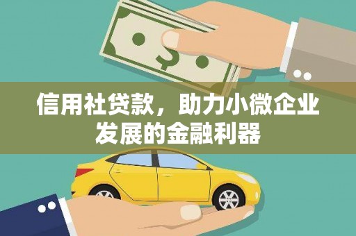 合阳信用社贷款，助力小微企业发展的金融利器