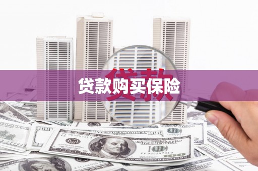 合阳贷款购买保险