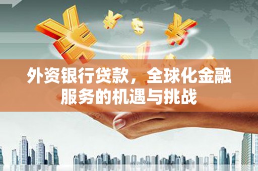 合阳外资银行贷款，全球化金融服务的机遇与挑战
