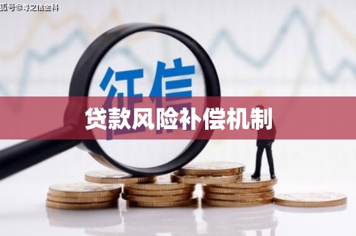 合阳贷款风险补偿机制