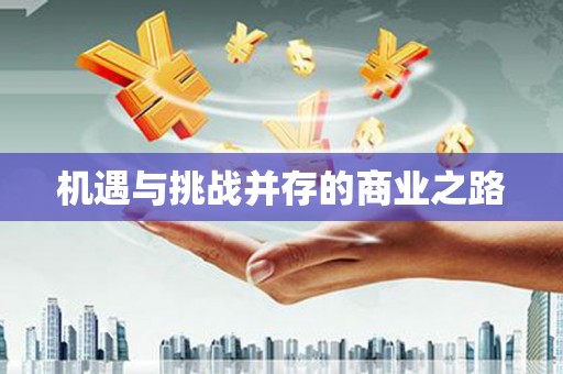 合阳机遇与挑战并存的商业之路