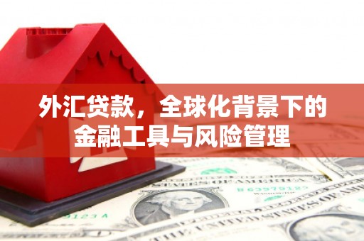 合阳外汇贷款，全球化背景下的金融工具与风险管理