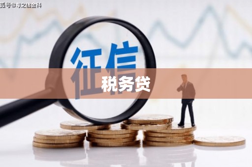合阳税务贷